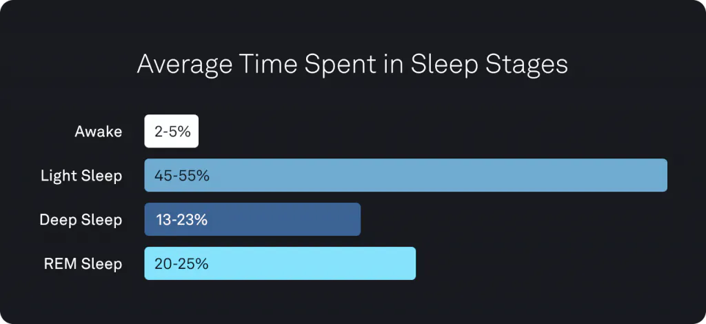 Phần trăm thời lượng cơ thể trải qua các giai đoạn ngủ: