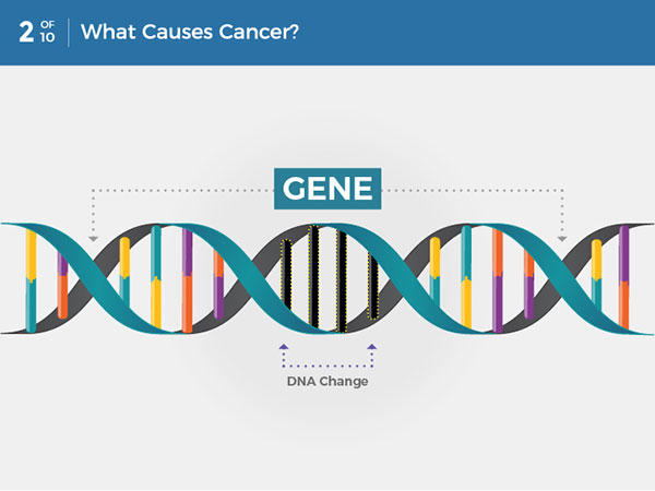 Nguyên nhân gây ra ung thư là gì? Ung thư là một căn bệnh gây ra khi các tế bào phân chia không kiểm soát được và lây lan sang các mô xung quanh.