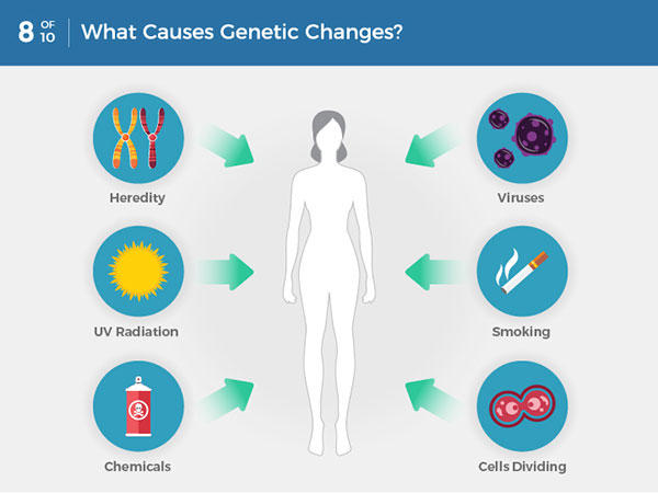 Những gì gây ra thay đổi di truyền? Những thay đổi di truyền gây ra ung thư có thể được di truyền hoặc phát sinh từ những tiếp xúc với môi trường nhất định. Thay đổi di truyền cũng có thể xảy ra do các lỗi xảy ra khi tế bào phân chia.