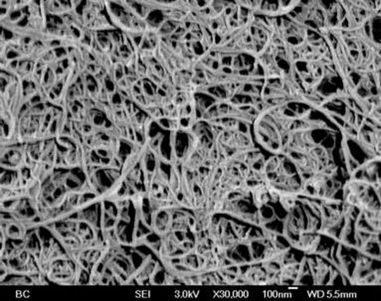Buckypaper làm bằng ống nano carbon, hay còn gọi là giấy xô, sẽ ngăn cản sự đi qua của các hạt 50 nanomet và lớn hơn. Nó có các đặc tính vật lý, hóa học, điện và cơ học độc đáo. Mặc dù nó có thể được gấp lại hoặc cắt bằng kéo nhưng nó cực kỳ chắc chắn. Với độ tinh khiết hoàn hảo, người ta ước tính nó có thể đạt độ bền gấp 500 lần so với một khối lượng thép tương đương. Hình ảnh này cho thấy giấy bạc của NanoLab dưới kính hiển vi điện tử quét.